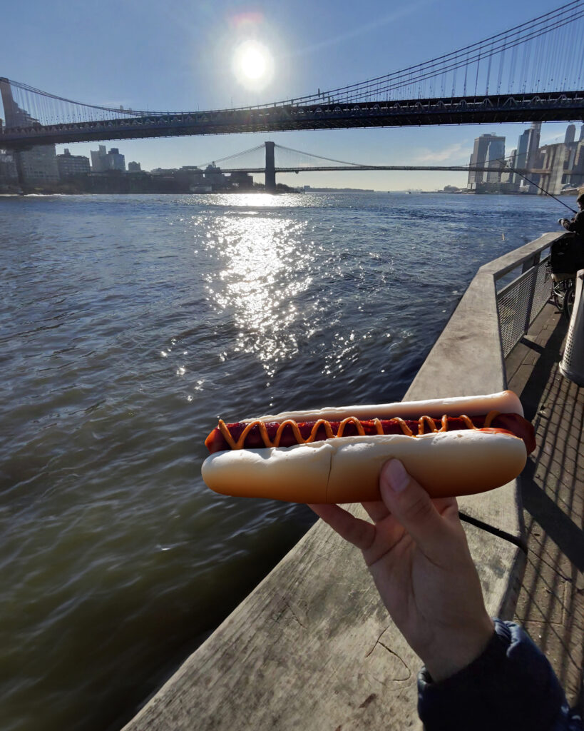 A New York City Hot Dog